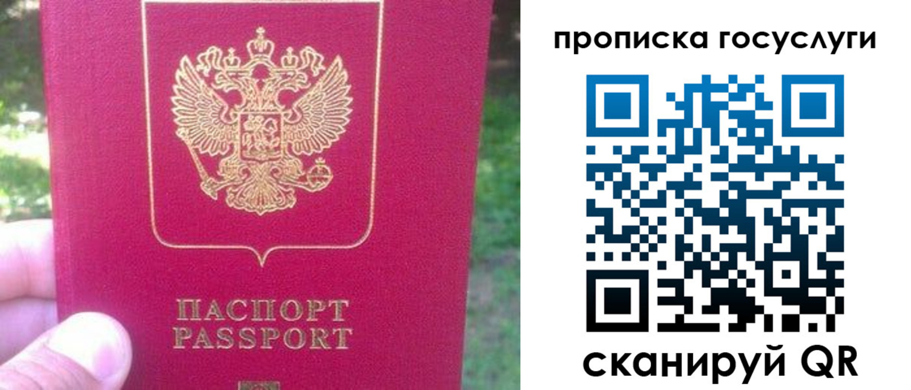 временная регистрация собственник в Курске